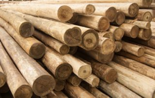 Empresas brasileiras de construção civil e madeira promovem uso doméstico de madeira