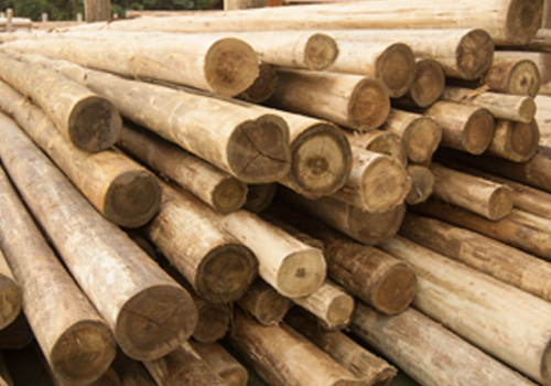 Empresas brasileiras de construção civil e madeira promovem uso doméstico de madeira